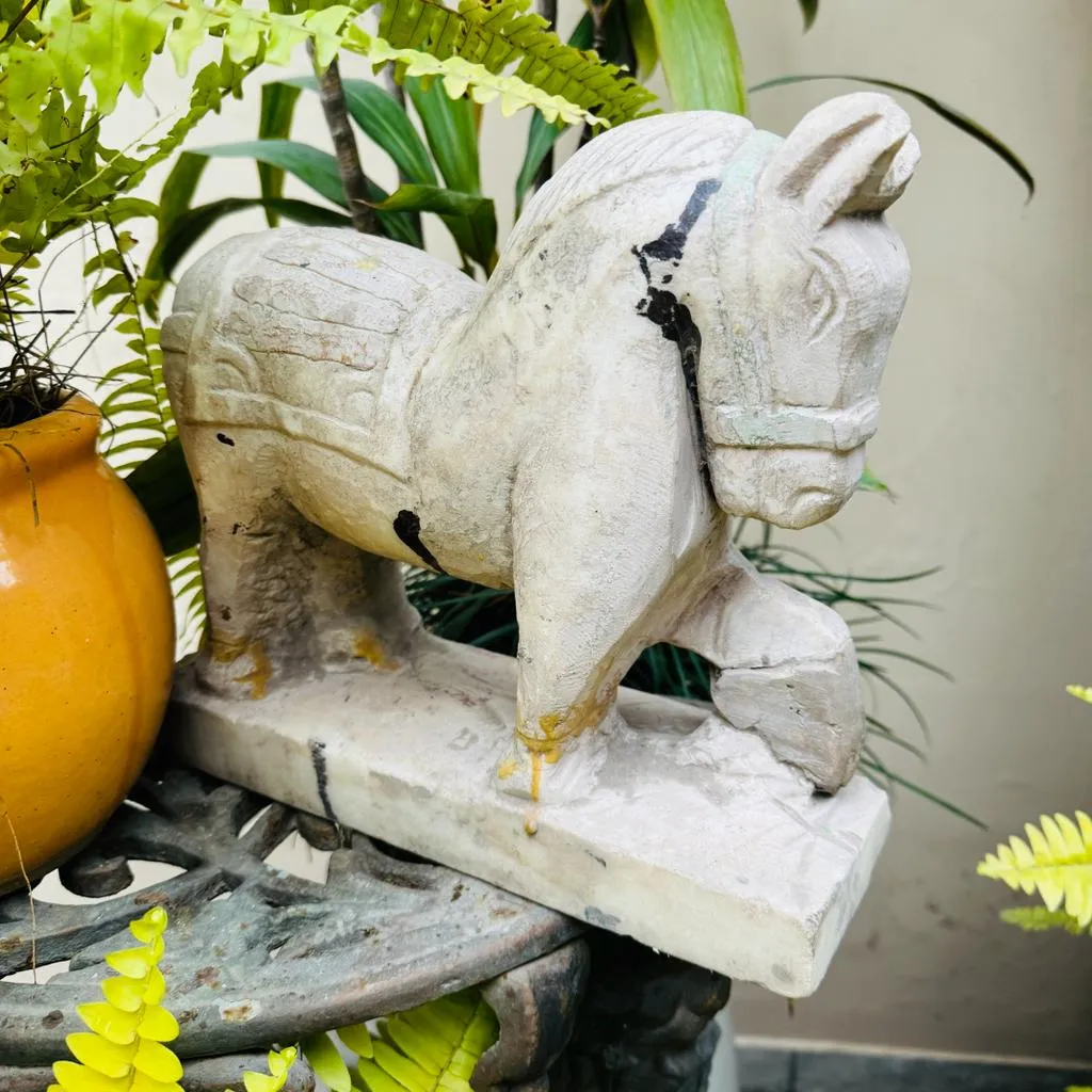 Marble Horse : Murti 8