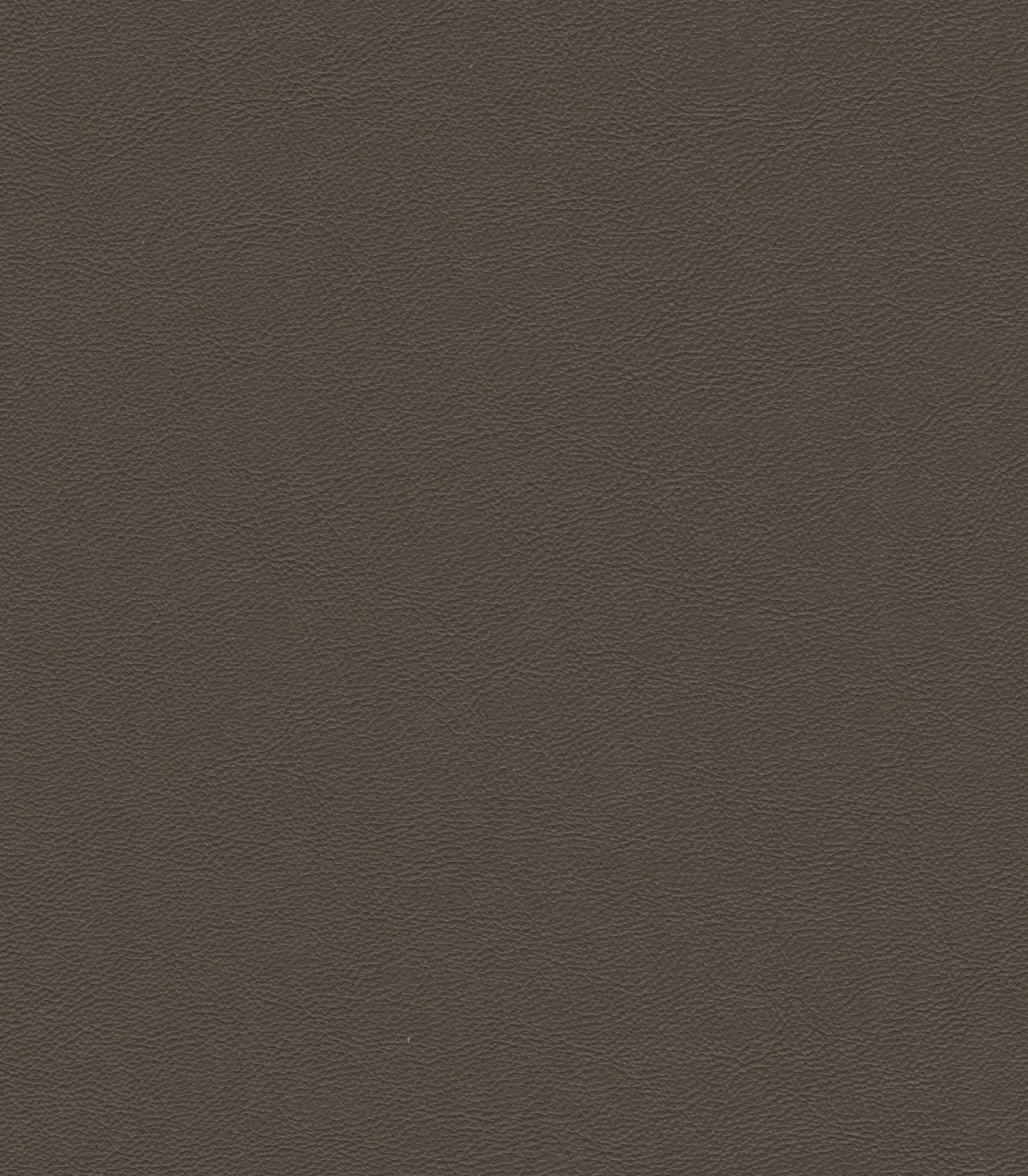 Venus Vegan Leather